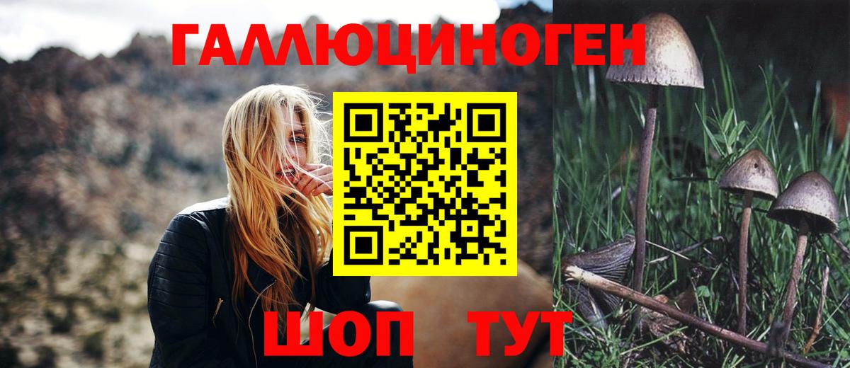 Ревда  Галлюциногенные грибы Psilocybe  закладка  Вход с VPN 