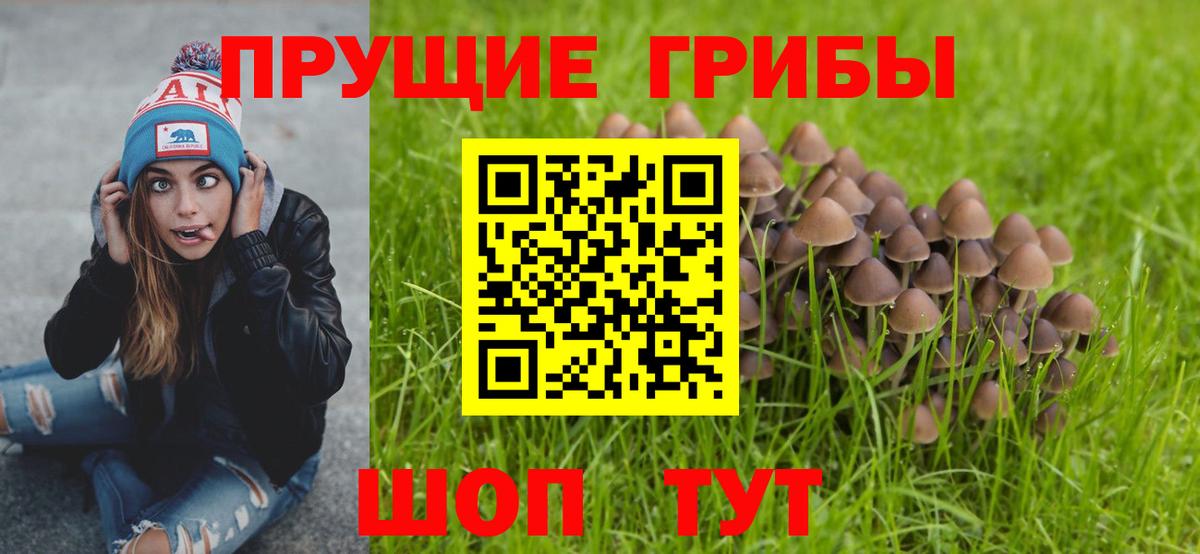 Ревда  Экстази  MDMA  COCAIN  Конопля  Alpha-PVP СК кристаллы  Каннабис  Мефедрон кристаллы  ГАШИШ  Вход с VPN  Гашиш 